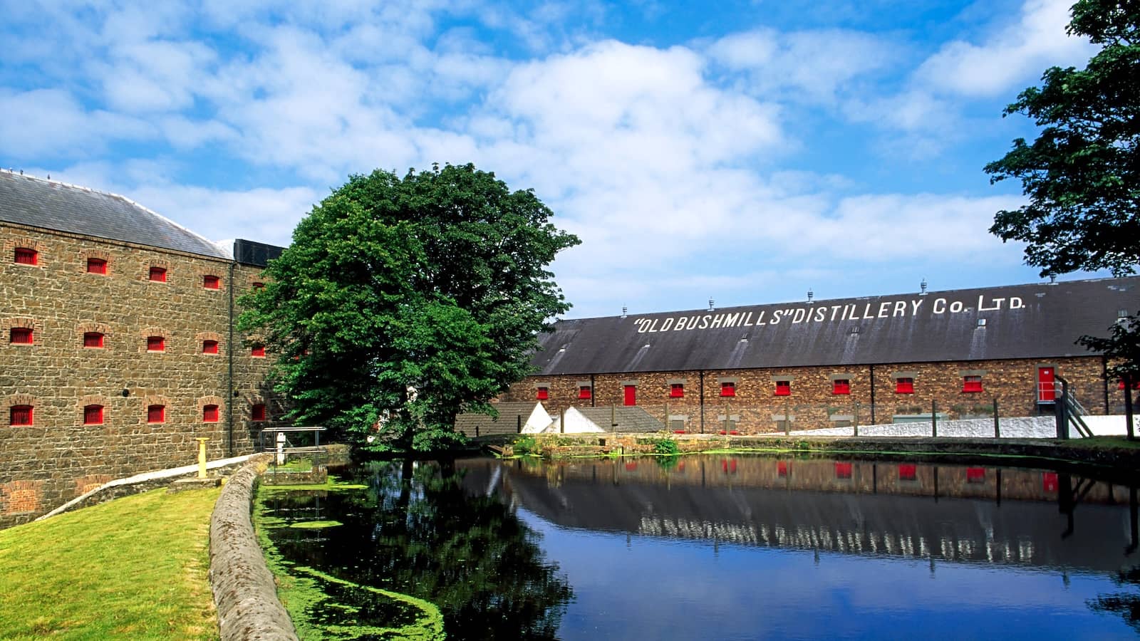 Giant's Causeway Antrim coast and the famous Carrickfergus castle tour (4 hours) For Groups